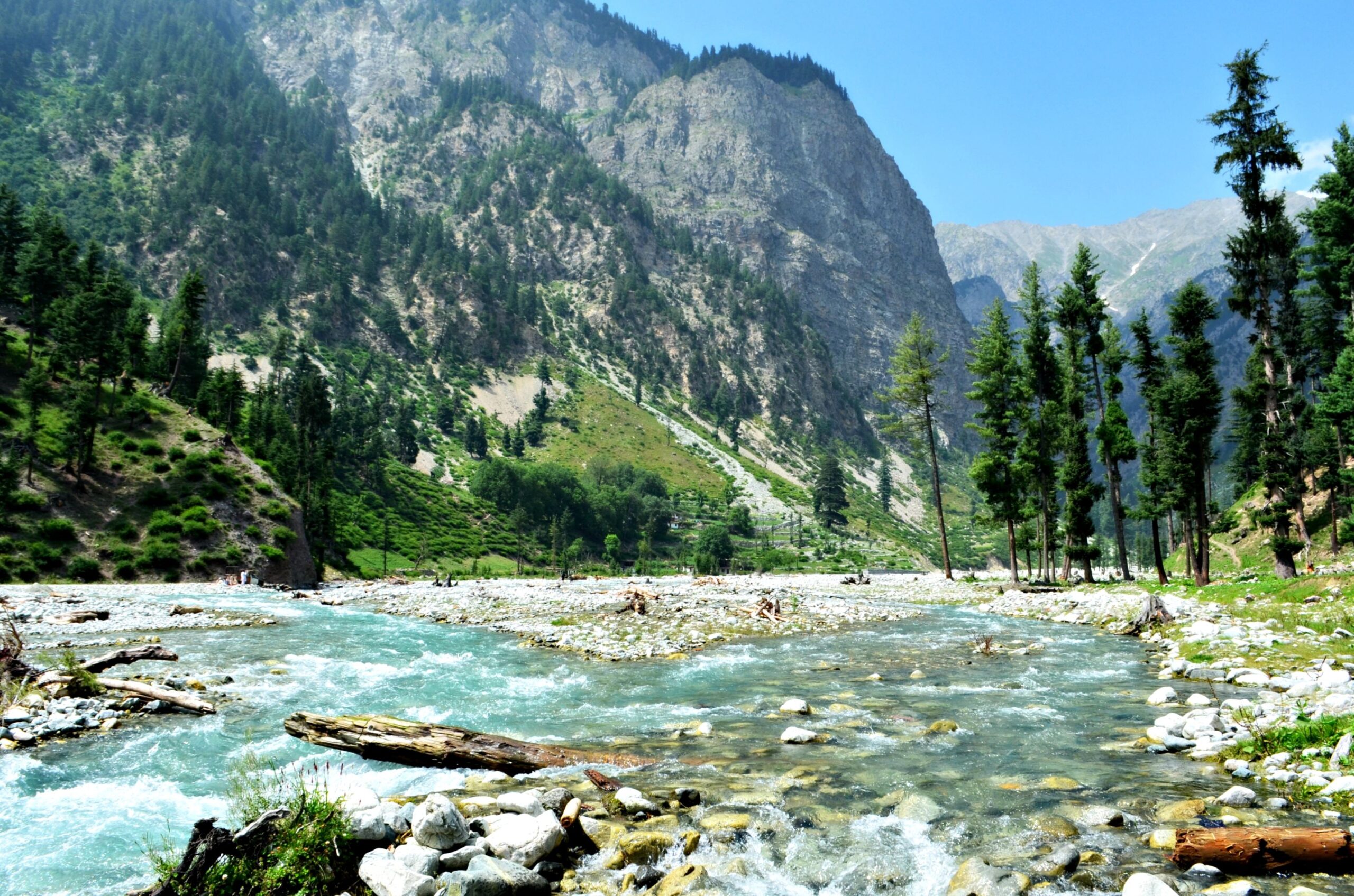 88a8a624f3a2f32263b13aec1e53cd24 scaled